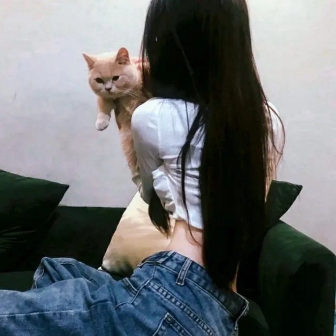 有法无天